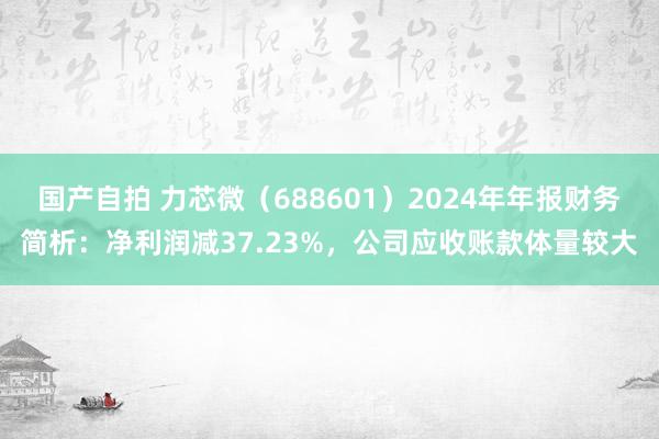 国产自拍 力芯微（688601）2024年年报财务简析：净利润减37.23%，公司应收账款体量较大