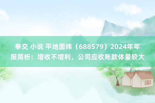 拳交 小说 平地面纬（688579）2024年年报简析：增收不增利，公司应收账款体量较大
