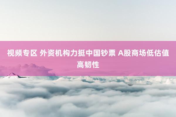 视频专区 外资机构力挺中国钞票 A股商场低估值高韧性