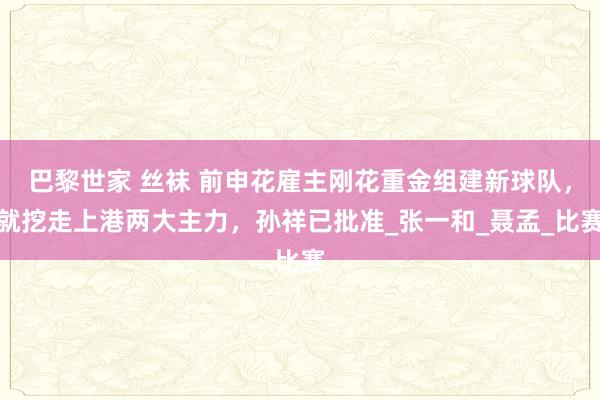巴黎世家 丝袜 前申花雇主刚花重金组建新球队，就挖走上港两大主力，孙祥已批准_张一和_聂孟_比赛