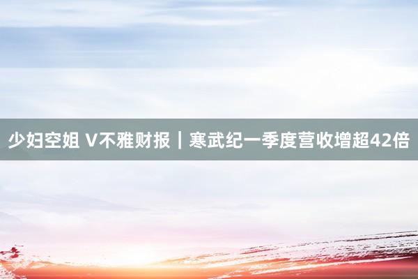 少妇空姐 V不雅财报｜寒武纪一季度营收增超42倍