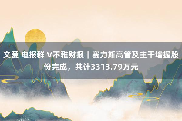 文爱 电报群 V不雅财报｜赛力斯高管及主干增握股份完成，共计3313.79万元