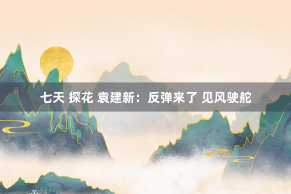 七天 探花 袁建新：反弹来了 见风驶舵
