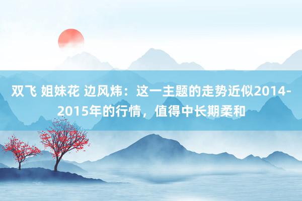 双飞 姐妹花 边风炜：这一主题的走势近似2014-2015年的行情，值得中长期柔和
