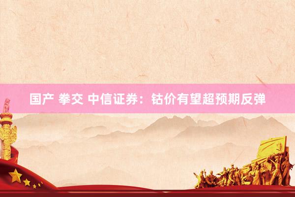 国产 拳交 中信证券：钴价有望超预期反弹