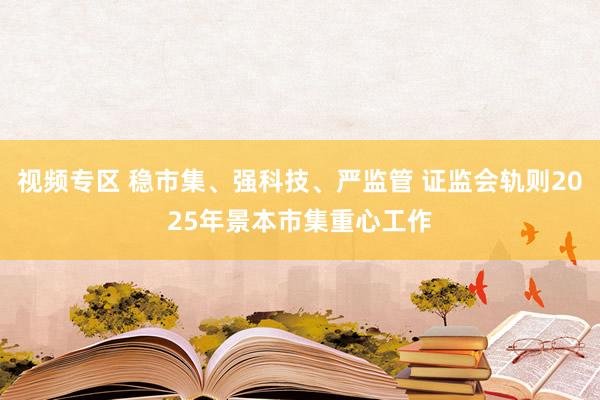 视频专区 稳市集、强科技、严监管 证监会轨则2025年景本市集重心工作