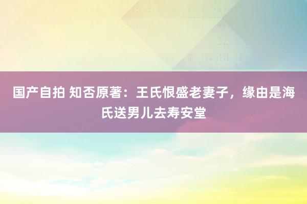 国产自拍 知否原著：王氏恨盛老妻子，缘由是海氏送男儿去寿安堂