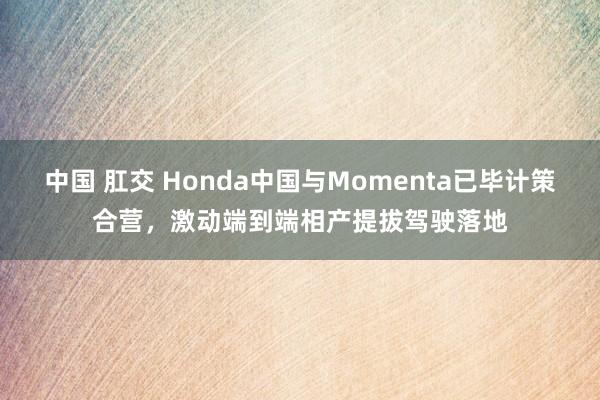 中国 肛交 Honda中国与Momenta已毕计策合营，激动端到端相产提拔驾驶落地