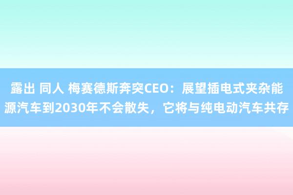 露出 同人 梅赛德斯奔突CEO：展望插电式夹杂能源汽车到2030年不会散失，它将与纯电动汽车共存