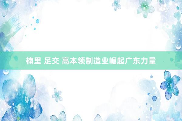 楠里 足交 高本领制造业崛起广东力量