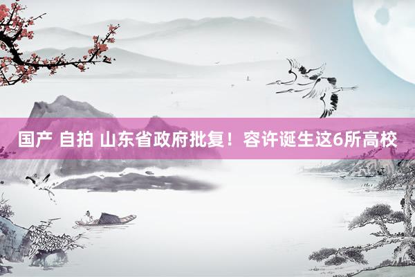 国产 自拍 山东省政府批复！容许诞生这6所高校