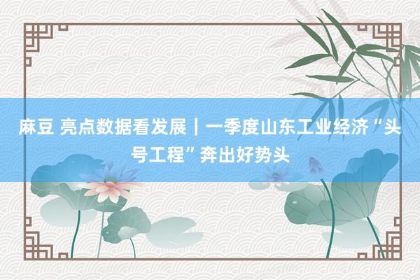 麻豆 亮点数据看发展｜一季度山东工业经济“头号工程”奔出好势头